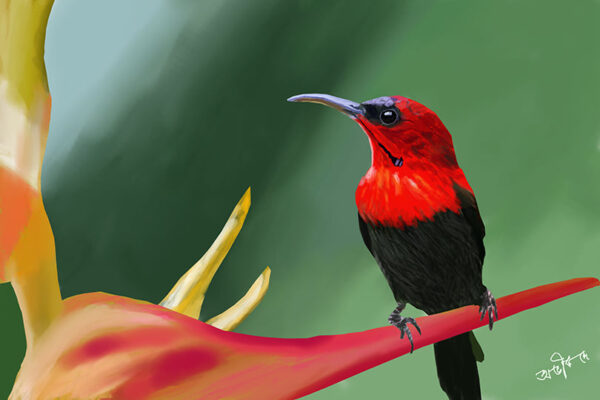 Painting of a Kingfisher bird